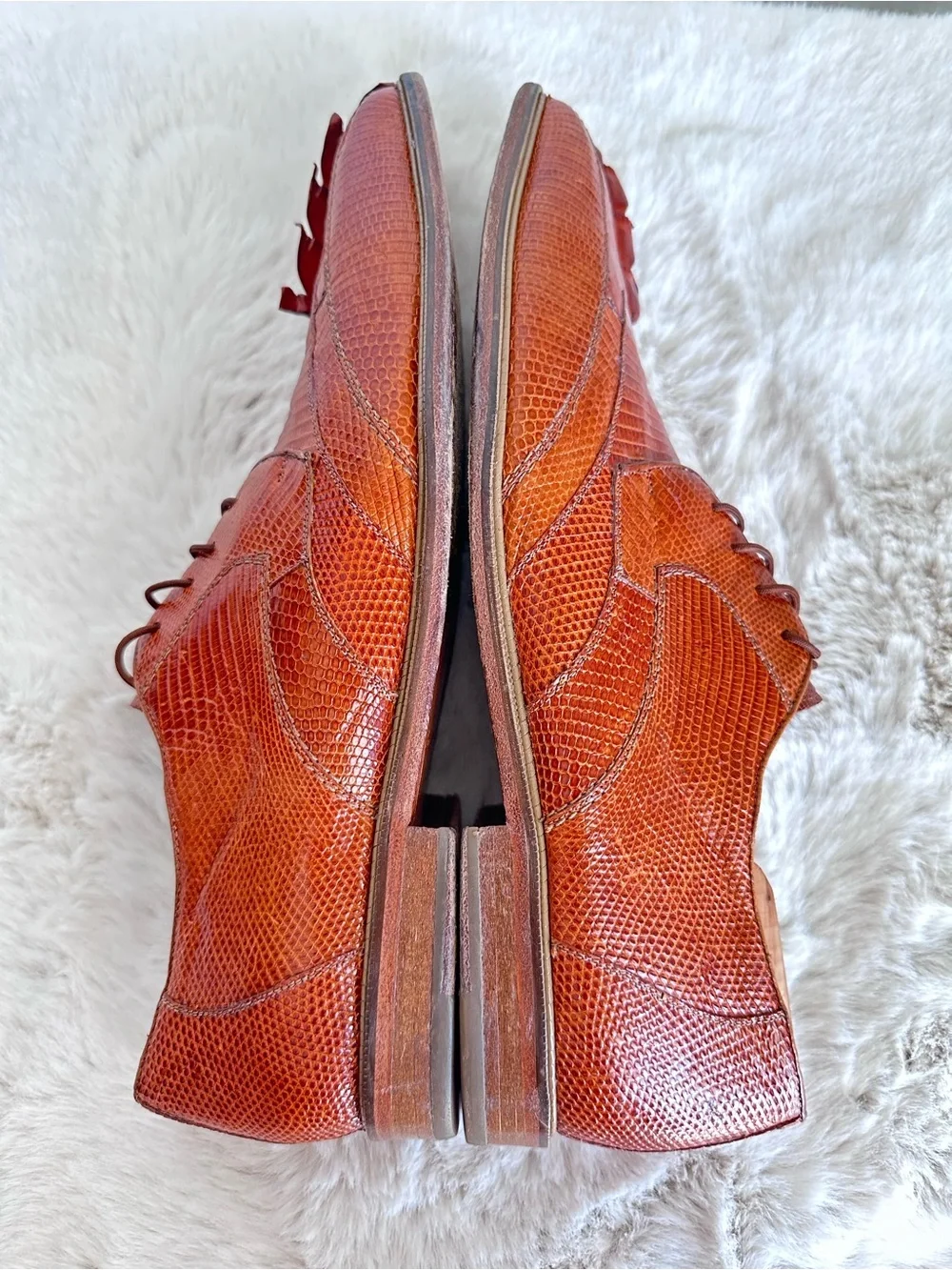 Belvedere Genuine Crocodile & Caiman Lizard Skin Oxford Dress Shoes sz 13 Orange